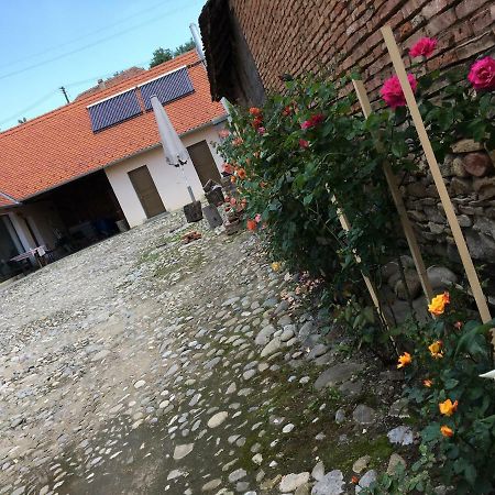 Casa Saseasca Villa Szászkézd Kültér fotó